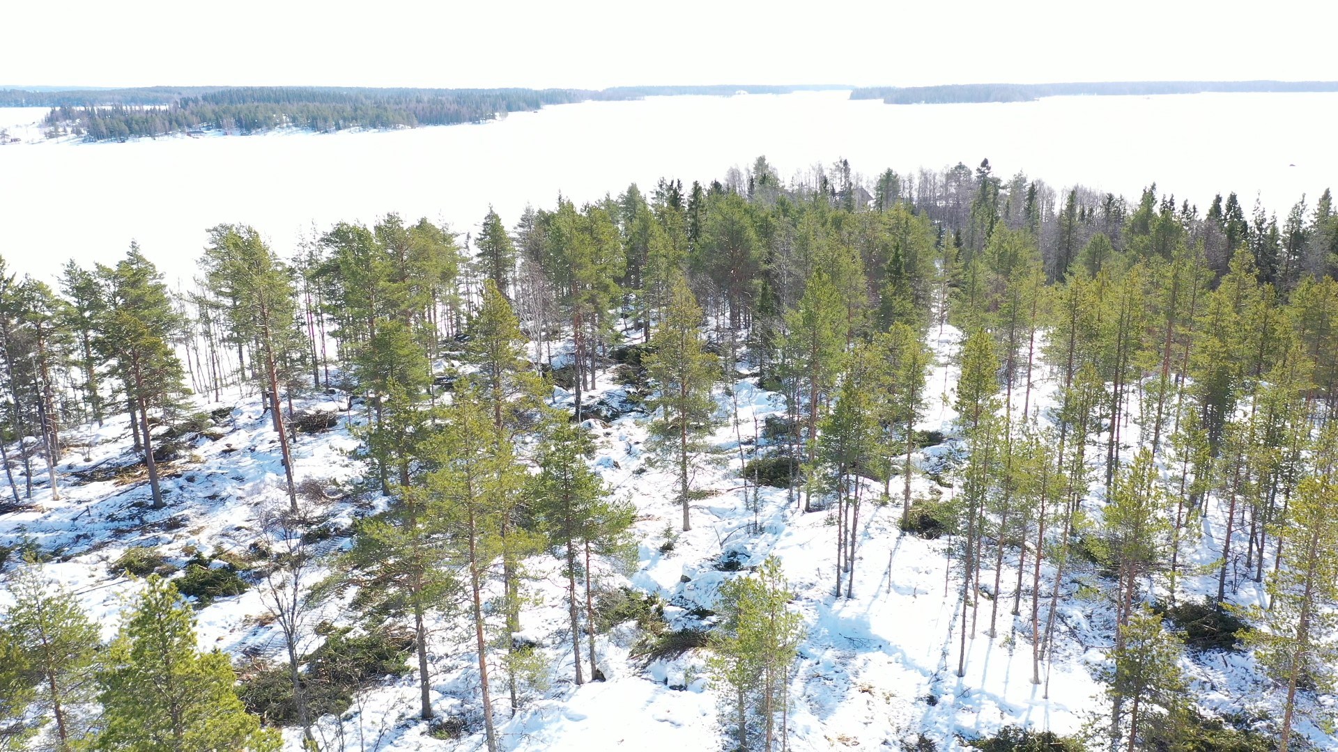 lappbäcken 1.jpg